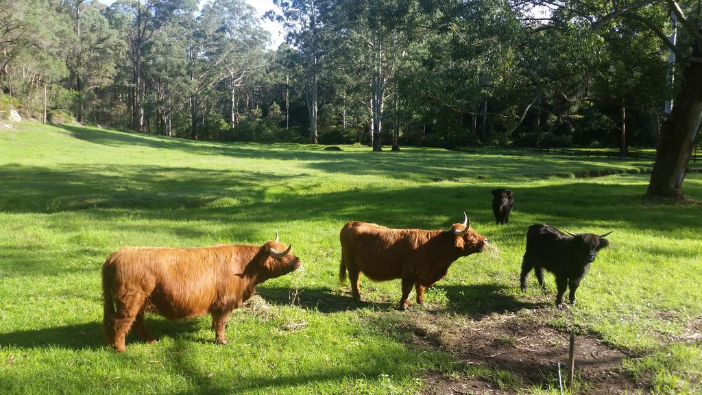 Kenthurst NSW New South Wales Tourism 