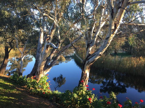 Donald Riverside Motel - New South Wales Tourism  0