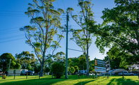 Book Dorrigo Accommodation Vacations New South Wales Tourism New South Wales Tourism 