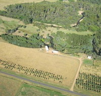 Dreaming of the Buckland