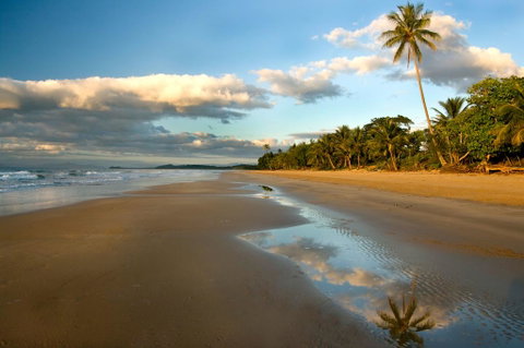 Driftwood - New South Wales Tourism  1