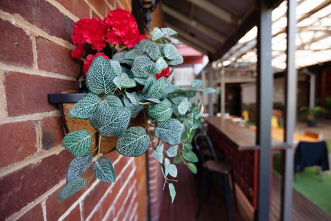 Duke's Inn - New South Wales Tourism  2