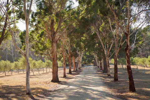 East Wing - New South Wales Tourism  2