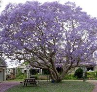 Ecotel Narooma - New South Wales Tourism 