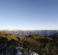 Elkhorn 7 - New South Wales Tourism 