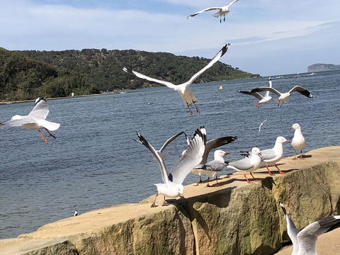 Ettalong Beach Motel - New South Wales Tourism  1