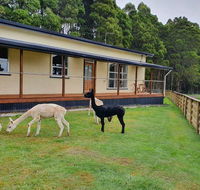 Farm Stay Lowana Strahan - New South Wales Tourism 