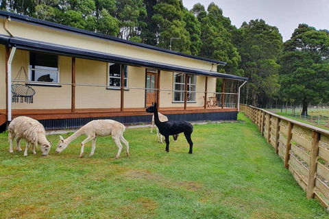 Farm Stay Lowana, Strahan - New South Wales Tourism  0