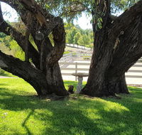 Farm Stay Studio - New South Wales Tourism 