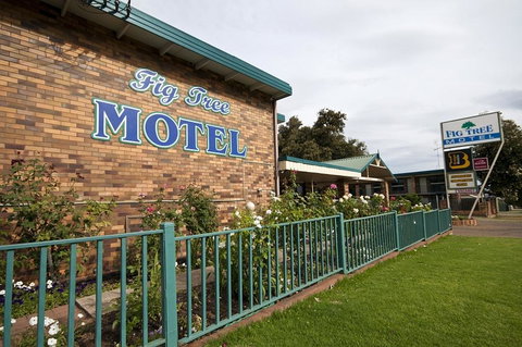 Fig Tree Motel - New South Wales Tourism  2