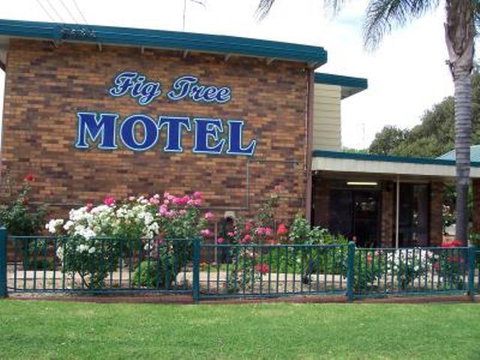 Fig Tree Motel - New South Wales Tourism  1