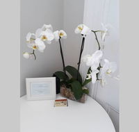 Gawler Heritage Accommodation - New South Wales Tourism 