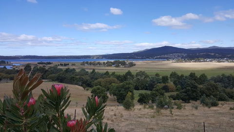 George River Park (House, 100 Acres, Animals, Views) - New South Wales Tourism  2