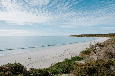 Glamping @ September Beach, Lincoln National Park - New South Wales Tourism  2