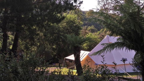 Glamping At Zeehan Bush Camp - New South Wales Tourism  0
