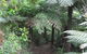 Glenaire Cottages - thumb 3