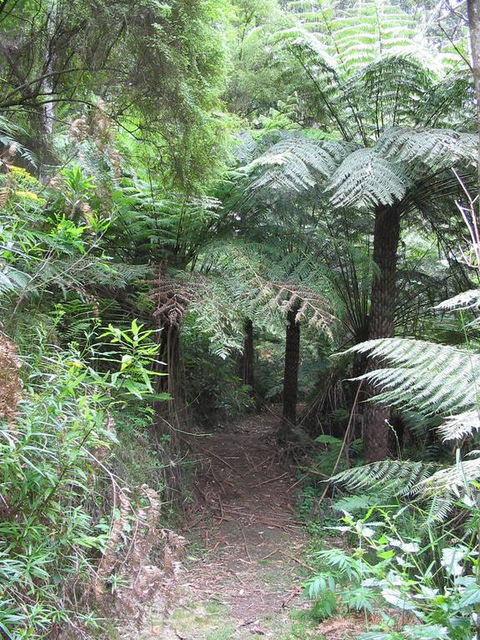 Glenaire Cottages - New South Wales Tourism  3