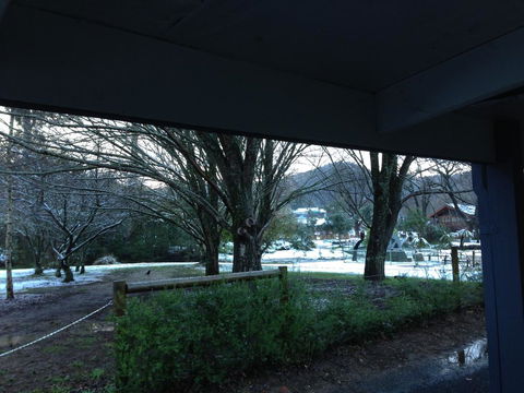 Goldberryaccommodation - New South Wales Tourism  3