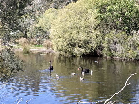 Gosnells Homestay - New South Wales Tourism  3