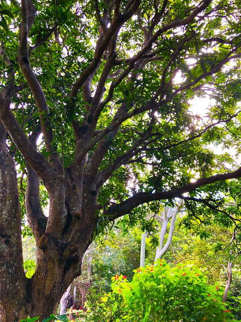 Graces Of Byron - New South Wales Tourism  3