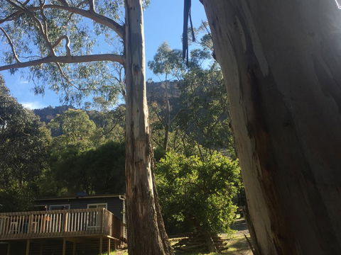 Grampians Nest - New South Wales Tourism  0
