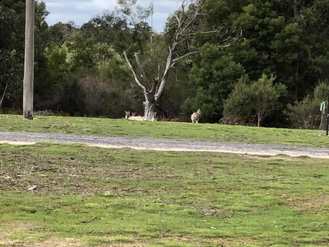 Grampians Old Man Emu Stay - New South Wales Tourism  3