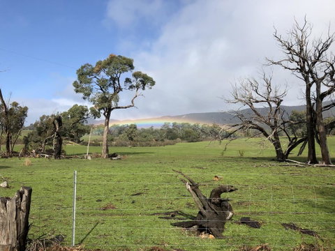 Grampians Old Man Emu Stay - New South Wales Tourism  2