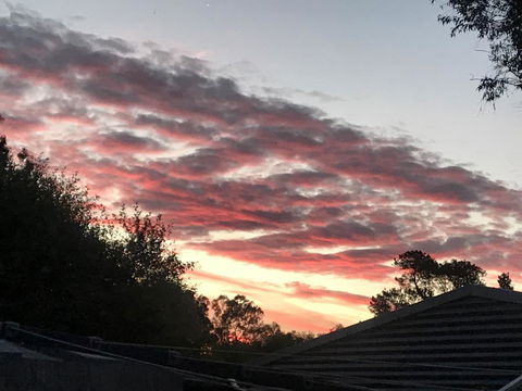 Guinevere - New South Wales Tourism  2