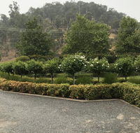 Guinevere - New South Wales Tourism 