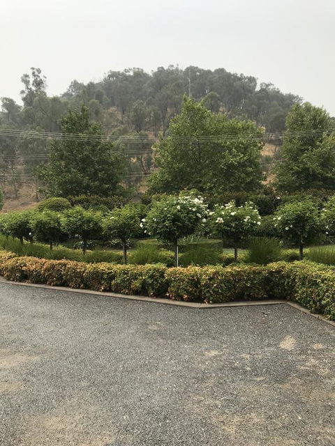 Guinevere - New South Wales Tourism  0