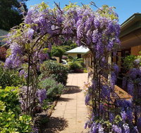 Gumtree House Montville - New South Wales Tourism 
