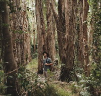 Habitat Noosa - New South Wales Tourism 