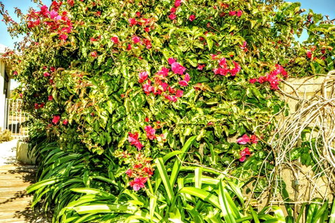 Halls Head Holiday Home - New South Wales Tourism  3