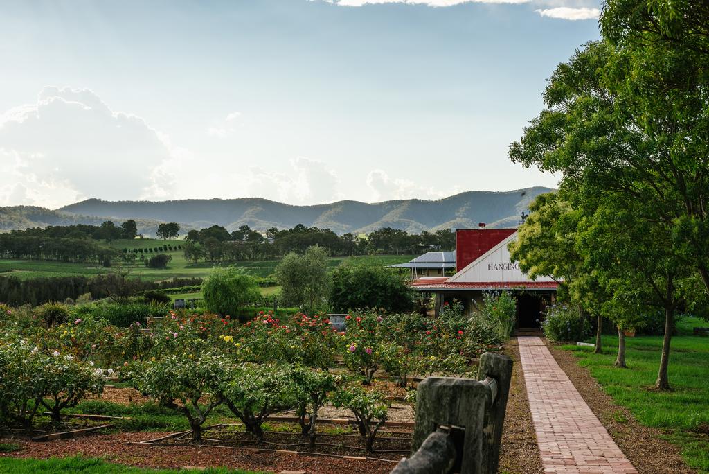 Pokolbin NSW New South Wales Tourism 
