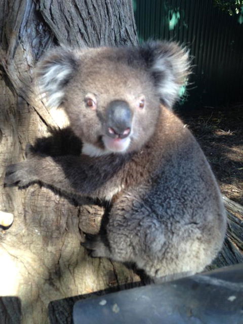 Harmony At Tower Hill - New South Wales Tourism  2