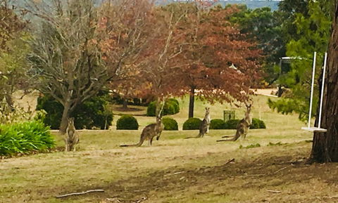 Highfield Cottage - New South Wales Tourism  2