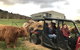 Highland Getaway - thumb 0