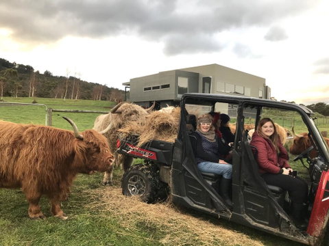 Highland Getaway - New South Wales Tourism  0