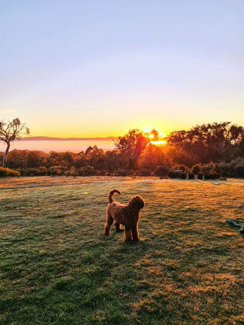 Horningsea - New South Wales Tourism  3