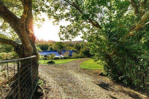 Jacaranda Cottages - New South Wales Tourism  2