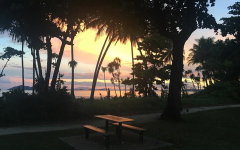 Jackaroo Treehouse Mission Beach - New South Wales Tourism  3