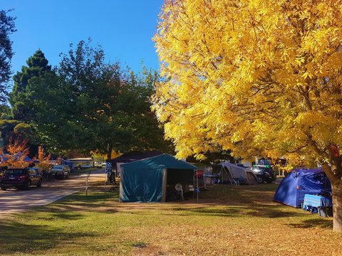 Jamieson Caravan Park - New South Wales Tourism  2