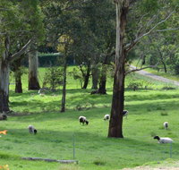 JAN'S ART STUDIO AT ASHBY RISE - New South Wales Tourism 