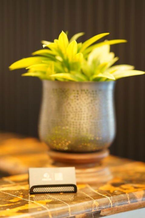 Jephson Hotel & Apartments - New South Wales Tourism  3