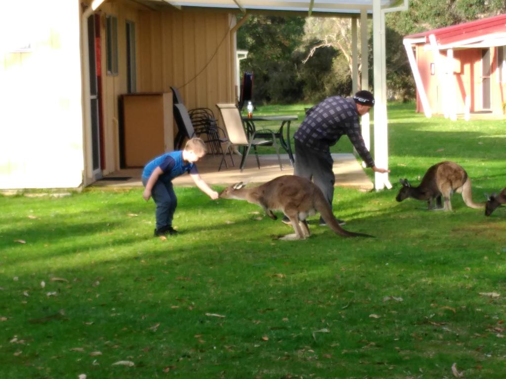 Kalgan WA New South Wales Tourism 