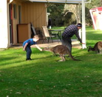 Kalgan River Chalets and Caravan Park - New South Wales Tourism 