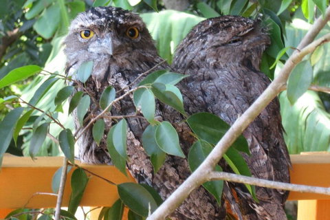 Karma Cottage - New South Wales Tourism  0