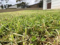 Book Karoonda Accommodation Vacations New South Wales Tourism New South Wales Tourism 