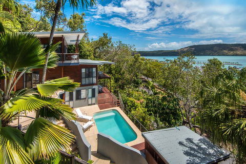 Kingfisher On Hamilton Island - New South Wales Tourism  0