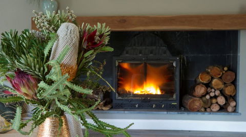 KOALA GULLY - New South Wales Tourism  0